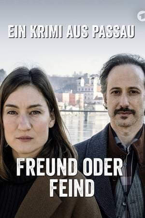 Детектив из Пассау. Фильм 1-й: Друг или враг онлайн